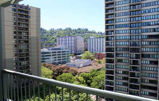 VIEW VIEW VIEW! Spacious Downtown 1 Bed Condo with Balcony, Views, & Parking