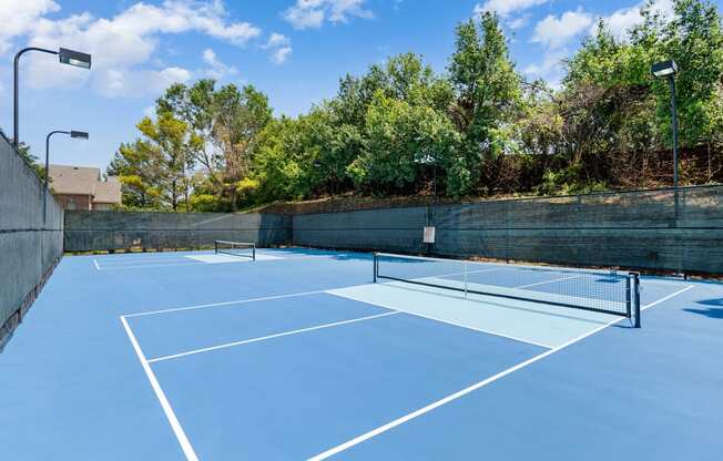 Pickleball Court at Townhomes of Coyote Ridge