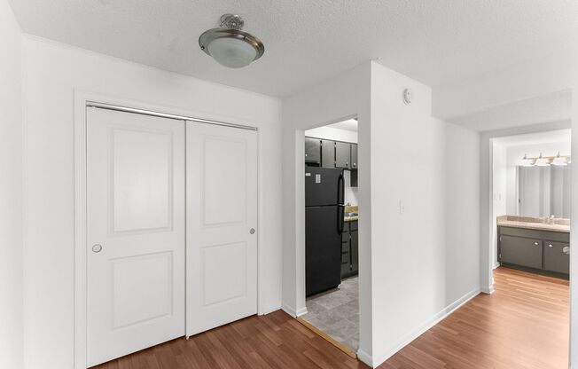 1 bed, 1 bath, 558 sqft, $845