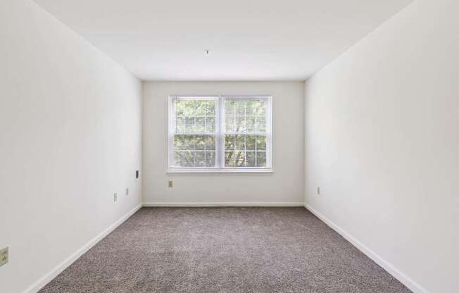 A room with a window and carpeted floor.