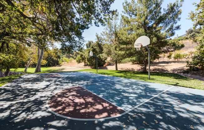 Apartments for Rent in Westlake Village with Basketball court