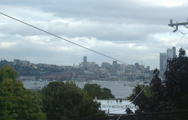 Woodland Residential