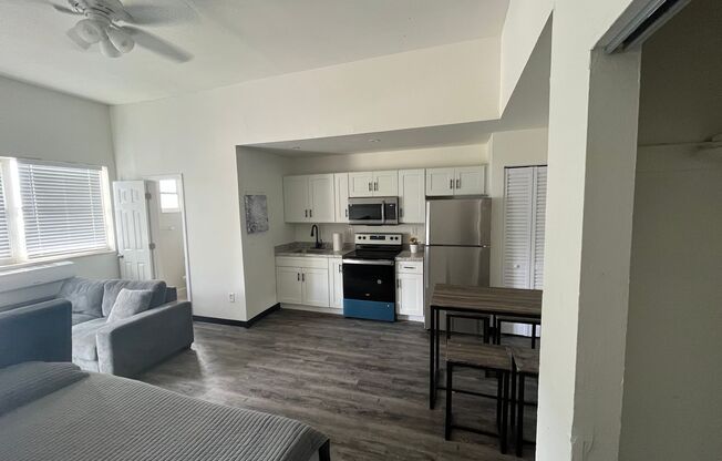 Studio, 1 bath, 300 sqft, $1,525