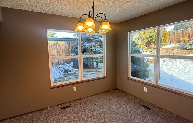 Beautiful Briargate Living: 5 Bedrooms, Walk-In Closets & 5-Piece Suite