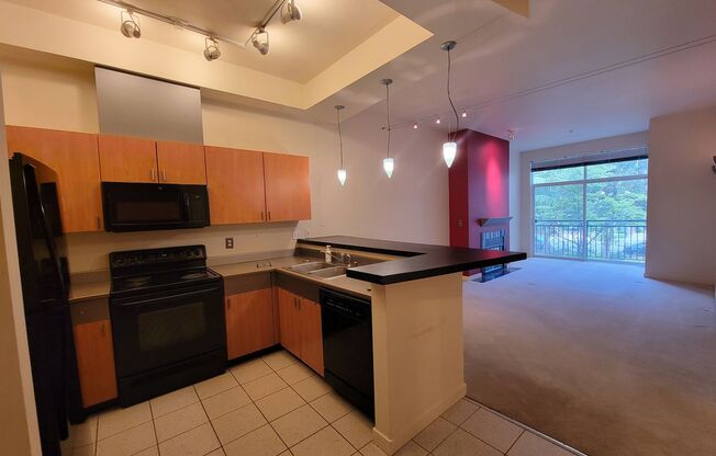 Immediate move in available; 1 bedroom condo with large den