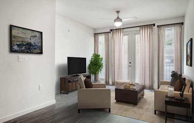 A living room with a television, two couches, and a plant.