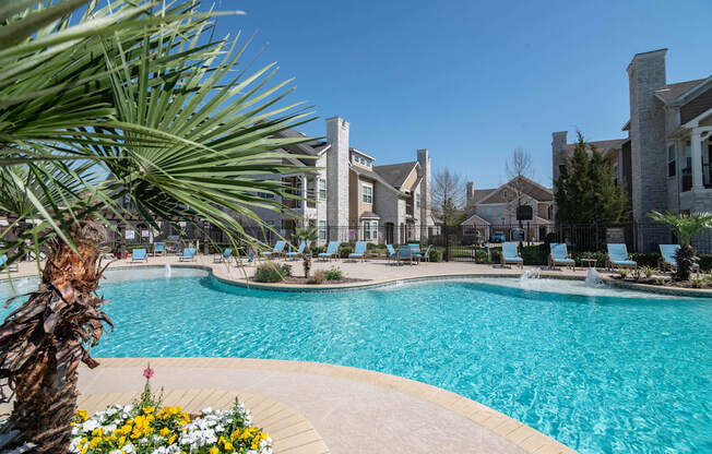 swimming pool with palm trees