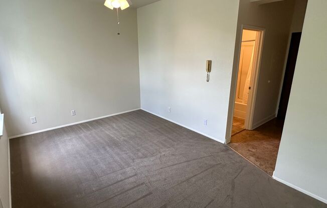 Studio, 1 bath, 270 sqft, $750, Unit 213