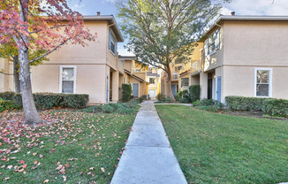 3346 CITY LIGHTS PL