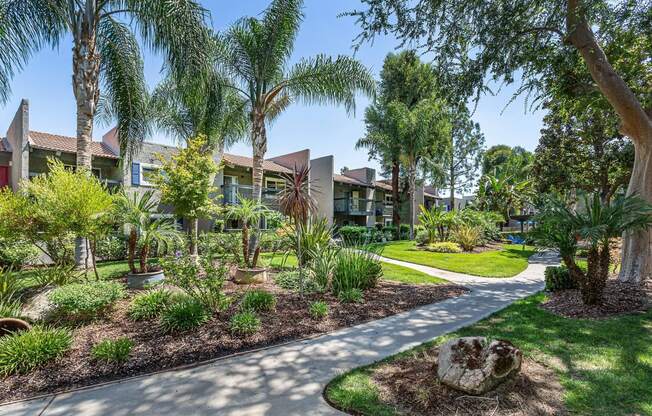 a street view of a community with trees and plants