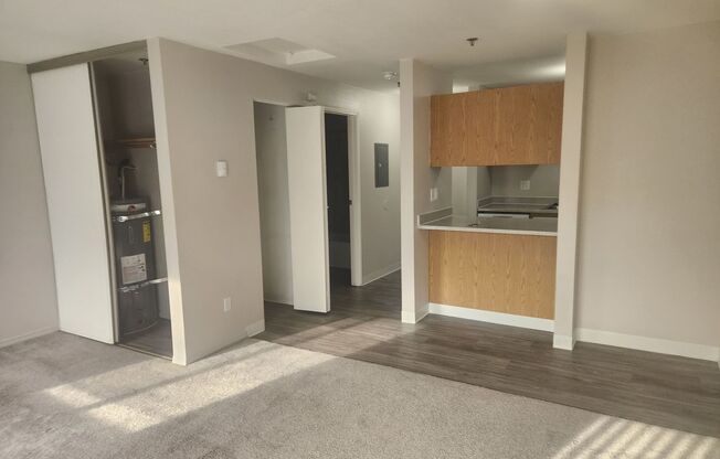 Studio, 1 bath, 442 sqft, $1,350, Unit A-303