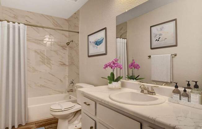 A bathroom with a toilet, sink, and a mirror.