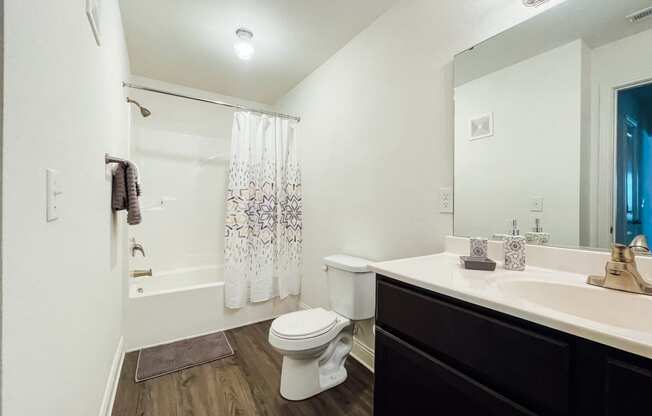 a bathroom with a shower toilet and sink and a mirror