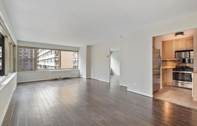 Incredible 1b1b in downtown Streeterville prime location