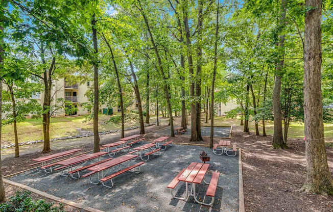 a group of picnic tables in a park with trees