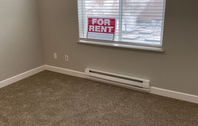 Studio, 1 bath, 441 sqft, $1,295, Unit 405