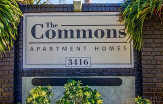 The Commons