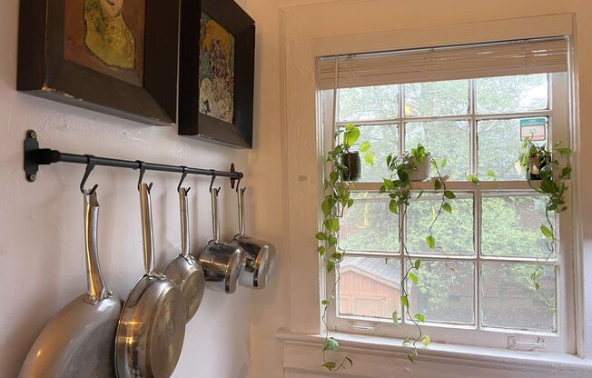 1 bed, 1 bath, 750 sqft, $1,925, Unit 873-20