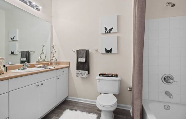 Master bathroom at Alden Place at South Square, Durham, NC