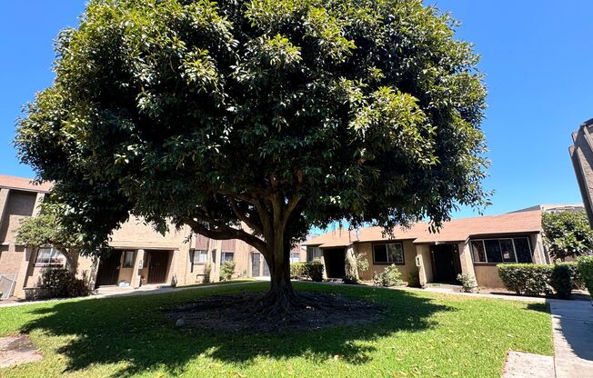 2 beds, 1.5 baths, $2,595, Unit 2215A