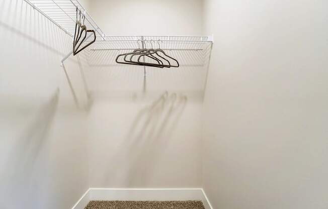 A white closet with a hanger and a carpet.