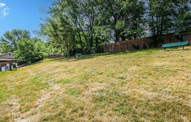 a grassy yard with two benches and a fence