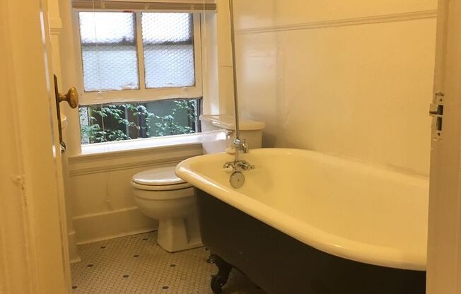 Studio, 1 bath, 350 sqft, $1,025, Unit 307