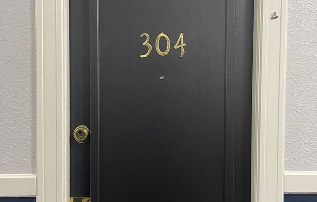 1 bed, 1 bath, 510 sqft, $1,595, Unit 304