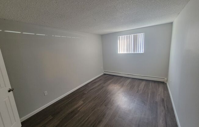 1 bed, 1 bath, 600 sqft, $1,135