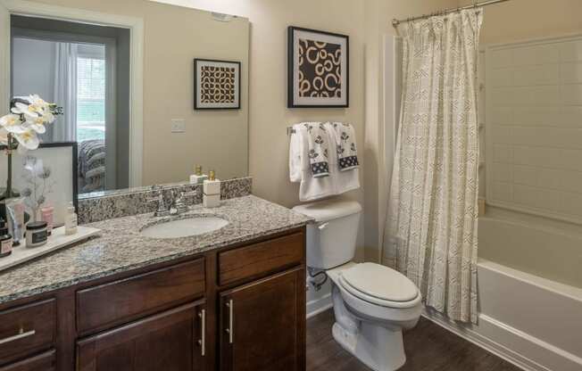 Luxurious Bathrooms at Abberly CenterPointe Apartment Homes by HHHunt, Midlothian, Virginia