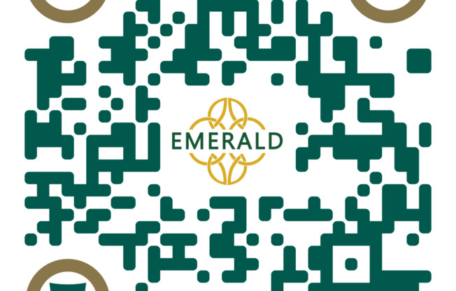 a screenshot of a qr code with the emerald logo in the middle