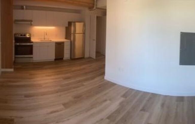 Studio, 1 bath, 344 sqft, $1,399, Unit 217