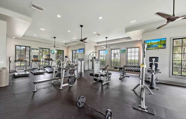 the gym at 1861 muleshoe road