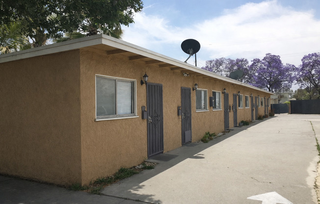 LB0356 (RUBS)  (Imp.)