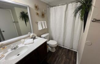 a room with a sink and a mirror