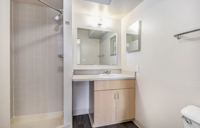 Second Bath with Walk-In Shower at Indian Lakes Apartments, Mishawaka