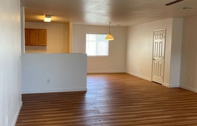 5569 Lush Vista View