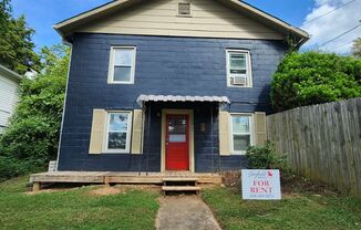 Asheville Duplex- Lower Level