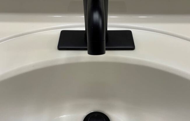Matt Black Bathroom Faucets at Creekfront at Deerwood, Jacksonville, 32256