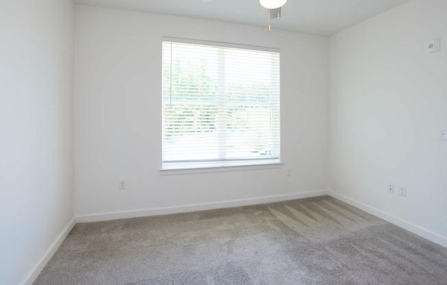 Carpeted Bedroom