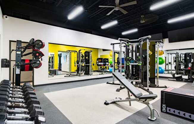 a gym with weights and cardio equipment and a wall of mirrors