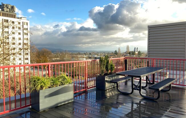 Studio, 1 bath, 238 sqft, $1,195, Unit 407