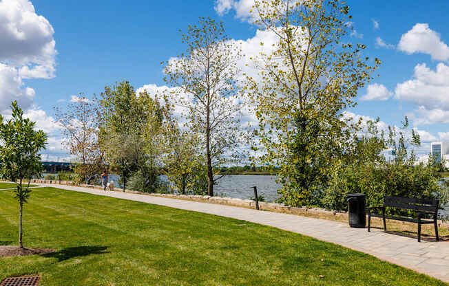A park with a bench and a tree.
