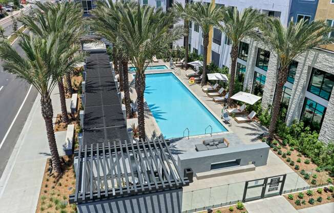 Aerial view of a swimming pool with palm trees at Array La Mesa, California