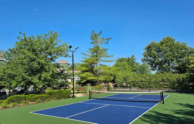 a blue and green tennis court with trees in the background