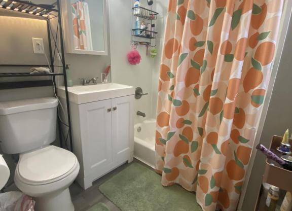 1 bed, 1 bath, $895
