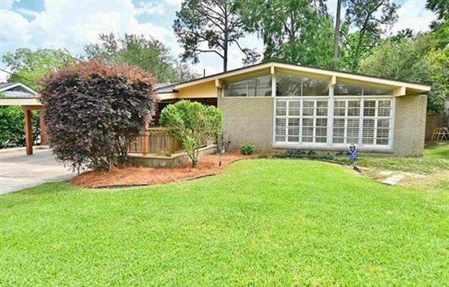 3 Bedroom House in the Garden District