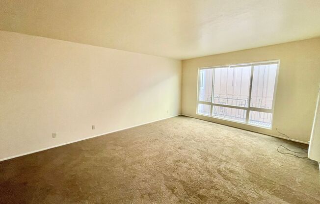 Spacious and Bright 1BR/1BA Top Floor Unit in the Mission! Laundry! Parking! PROGRESSIVE