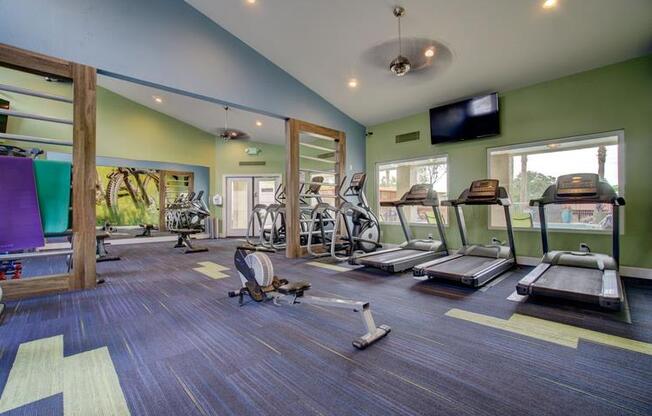 Domain 3201 Fitness Center with Weights and Cardio Machines