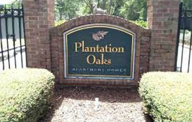 Plantation Oaks